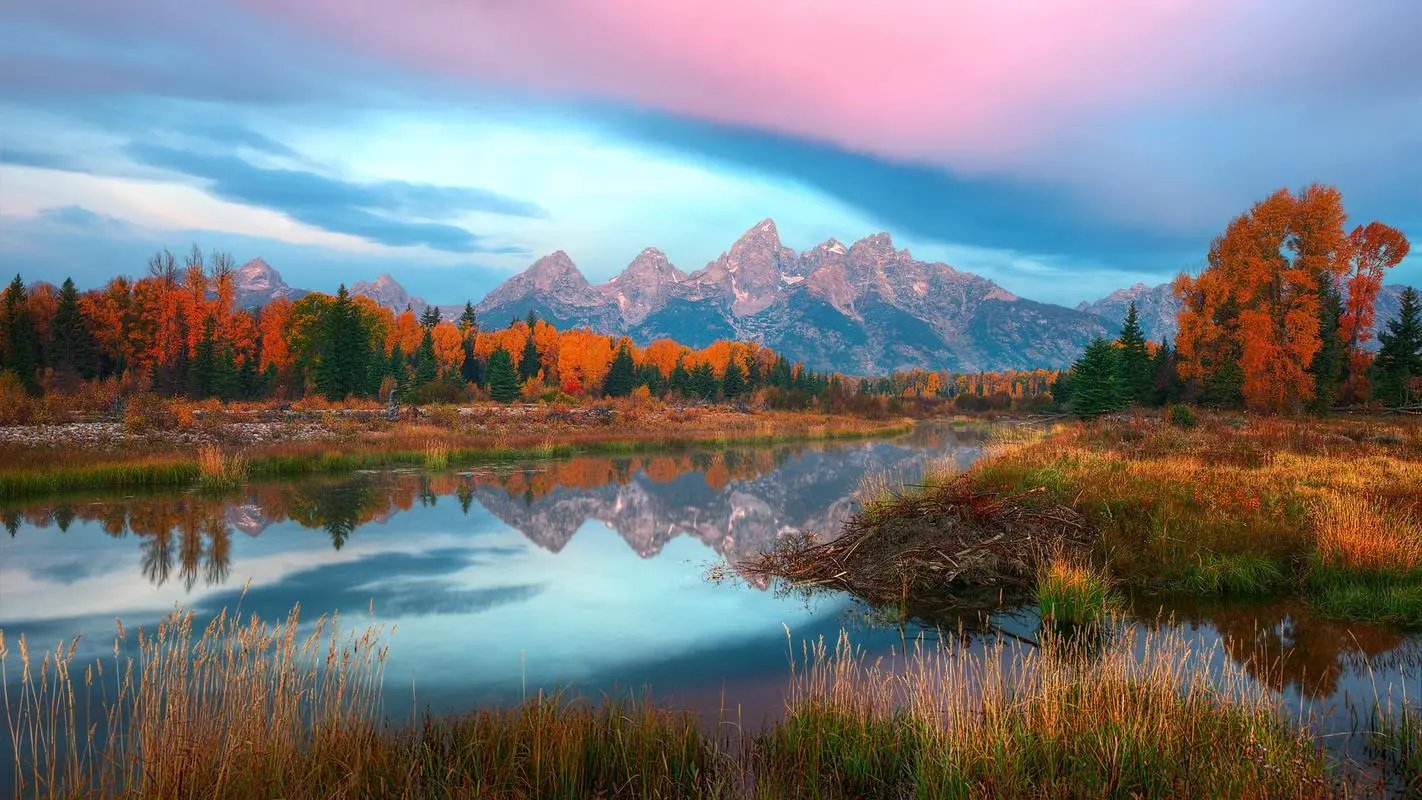 高标准电子稳定性